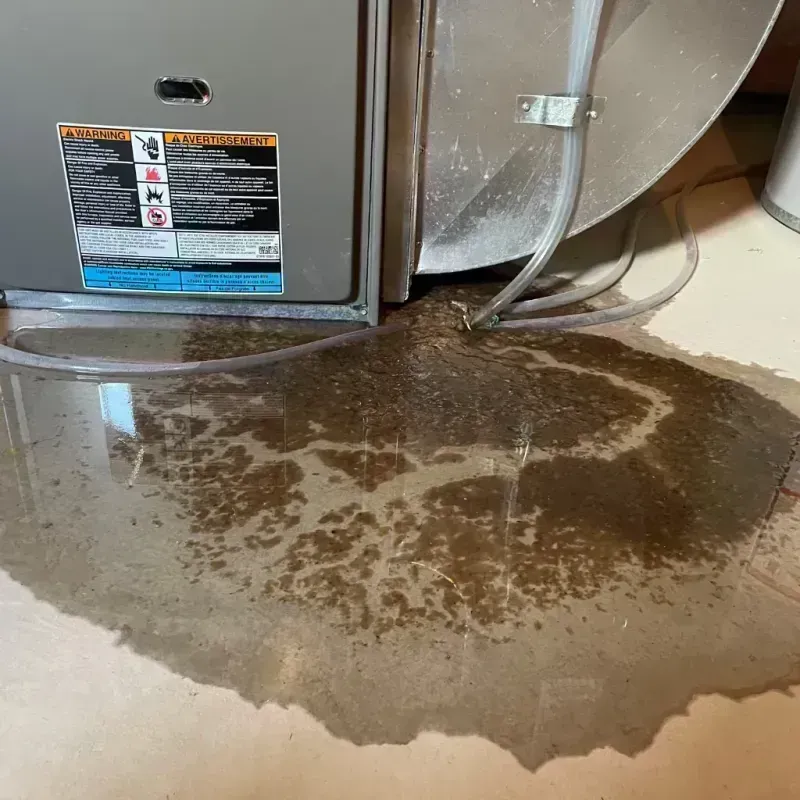 Appliance Leak Cleanup in Melcher-Dallas, IA